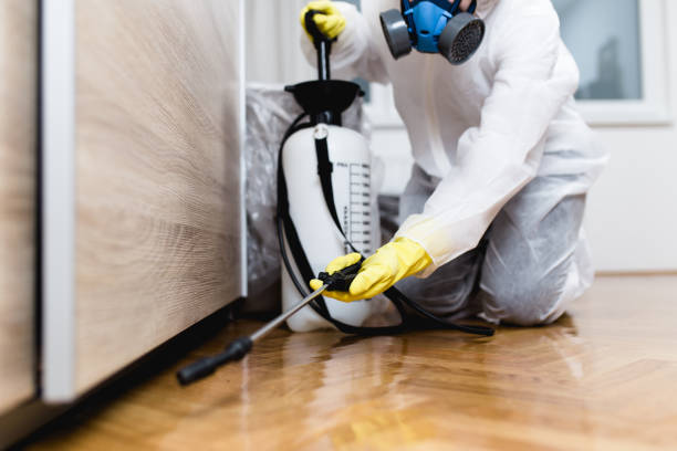 Pest Prevention Services in Maysville, OK
