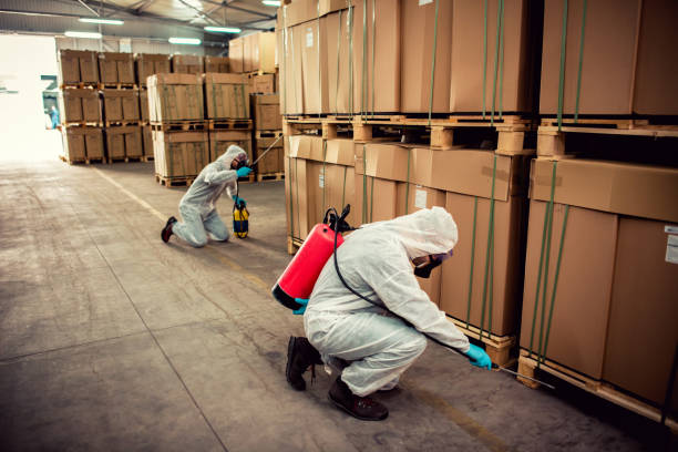 Best Commercial Pest Control Services  in Maysville, OK