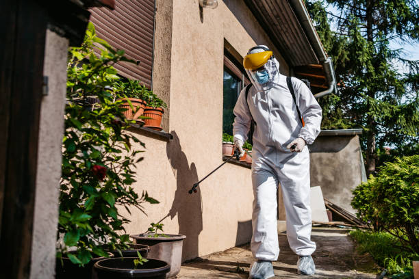 Best Emergency Pest Control  in Maysville, OK
