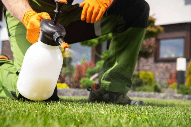 Best Pest Prevention Services  in Maysville, OK