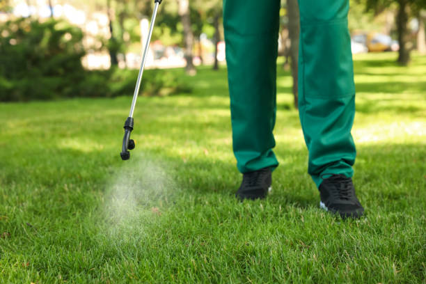 Best Insect Control  in Maysville, OK
