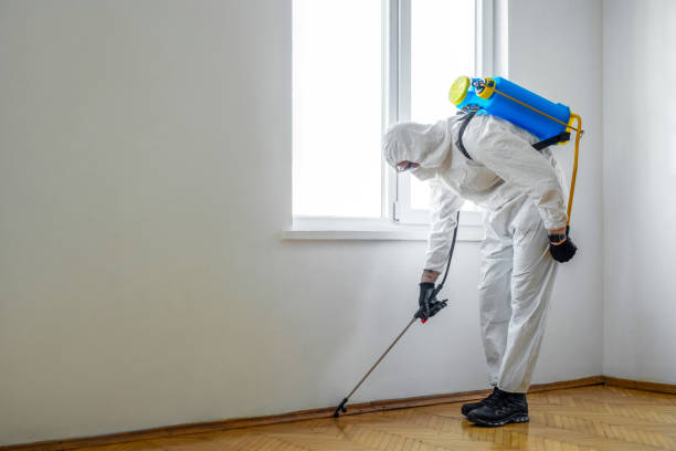 Pest Control for Restaurants in Maysville, OK