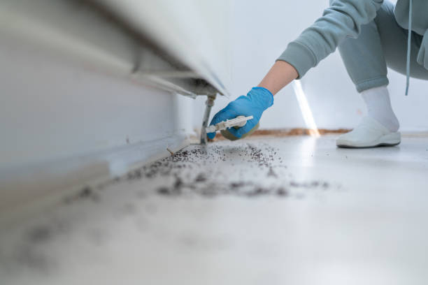 Best Pest Control for Businesses  in Maysville, OK